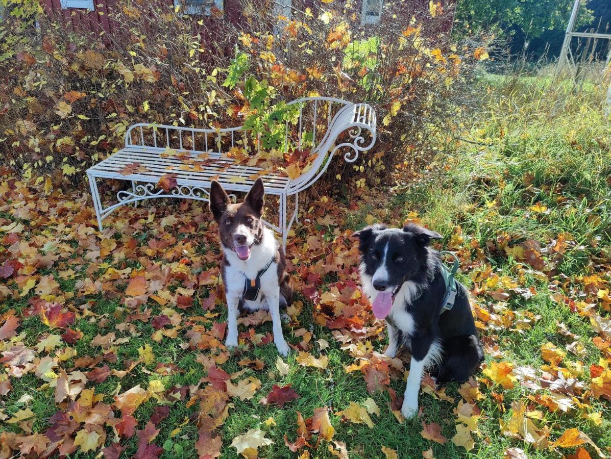 Maatilamatkailu Janisvaara Kolinkylä Buitenkant foto