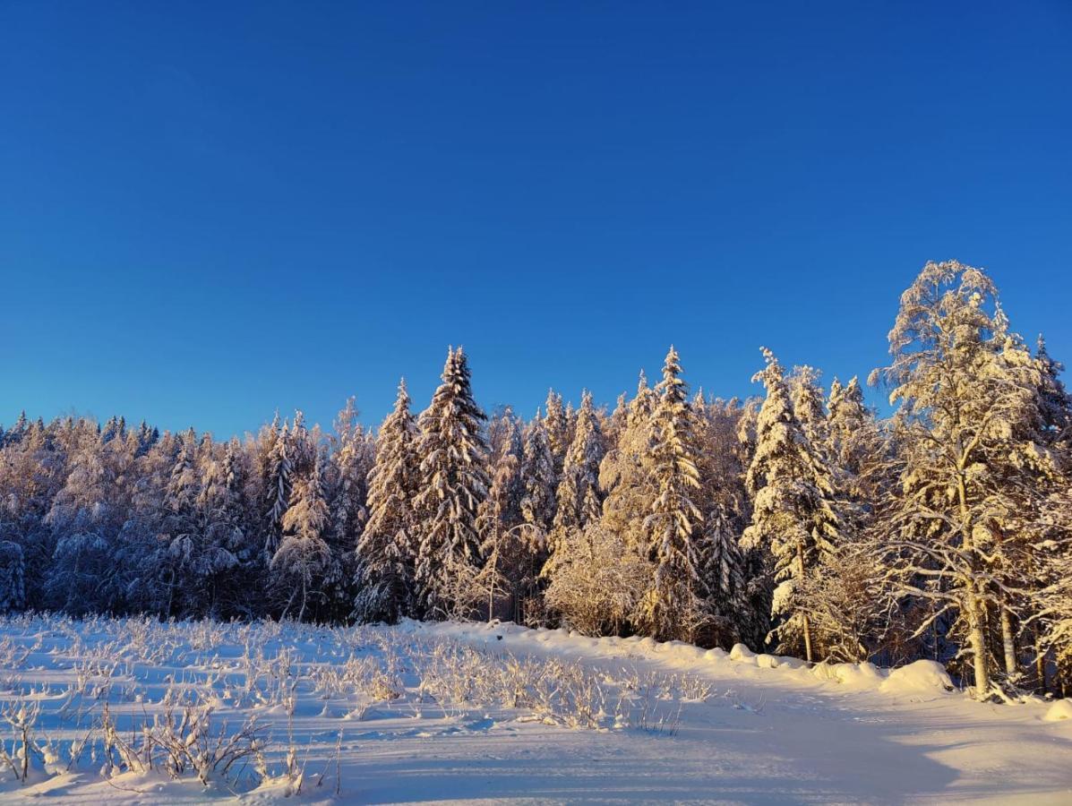 Maatilamatkailu Janisvaara Kolinkylä Buitenkant foto