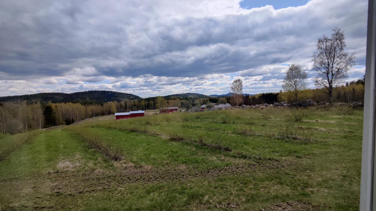 Maatilamatkailu Janisvaara Kolinkylä Buitenkant foto