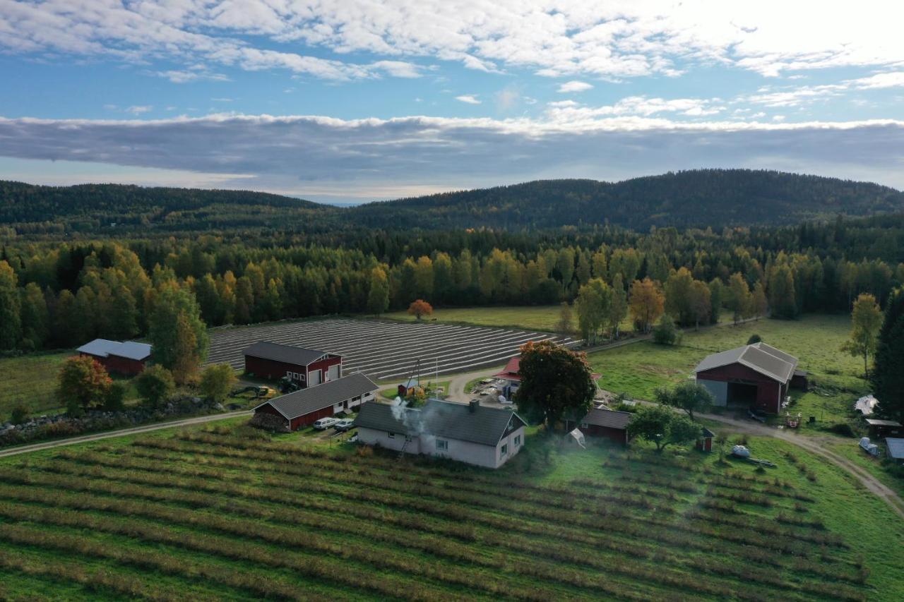 Maatilamatkailu Janisvaara Kolinkylä Buitenkant foto