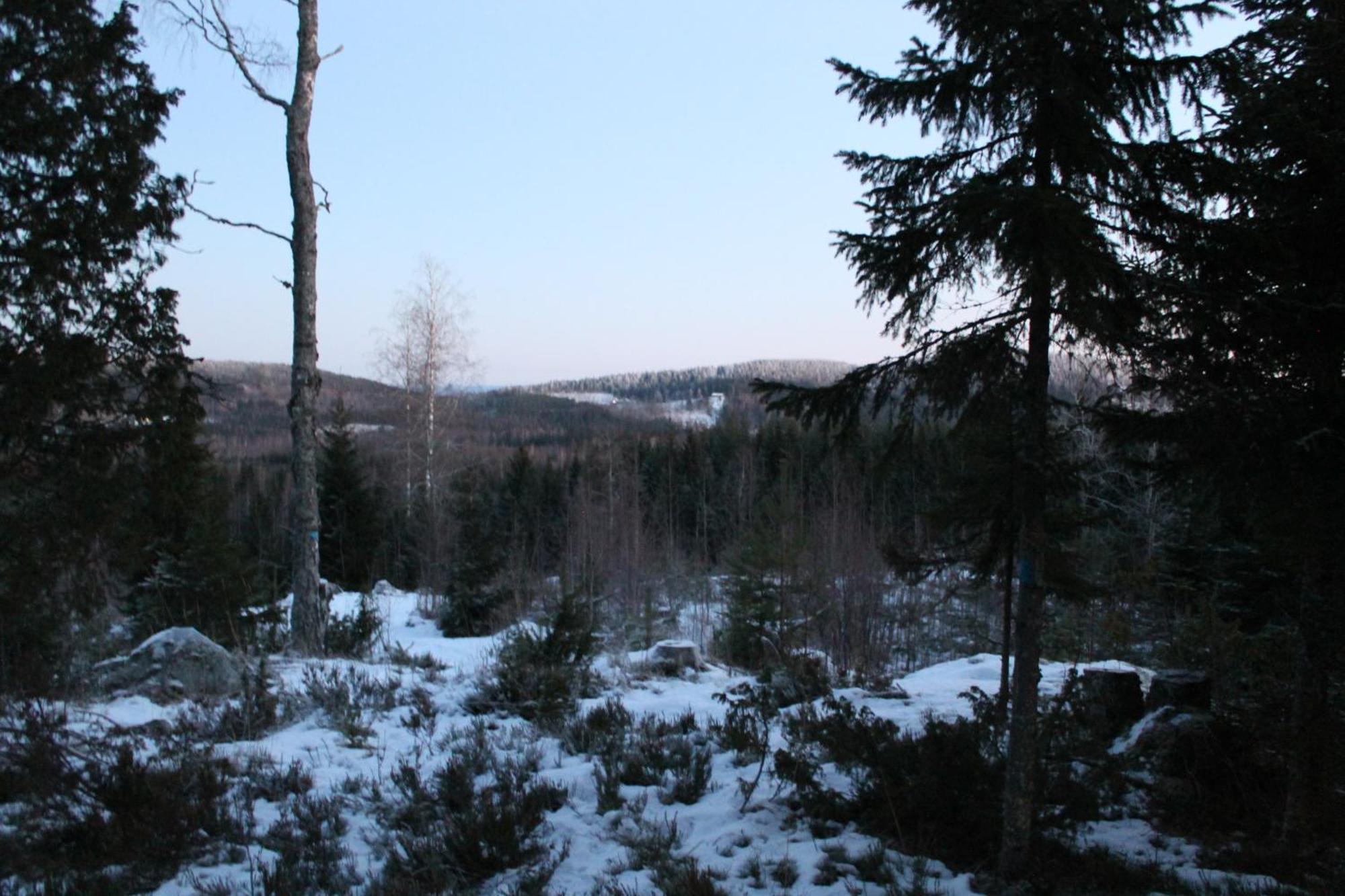 Maatilamatkailu Janisvaara Kolinkylä Kamer foto