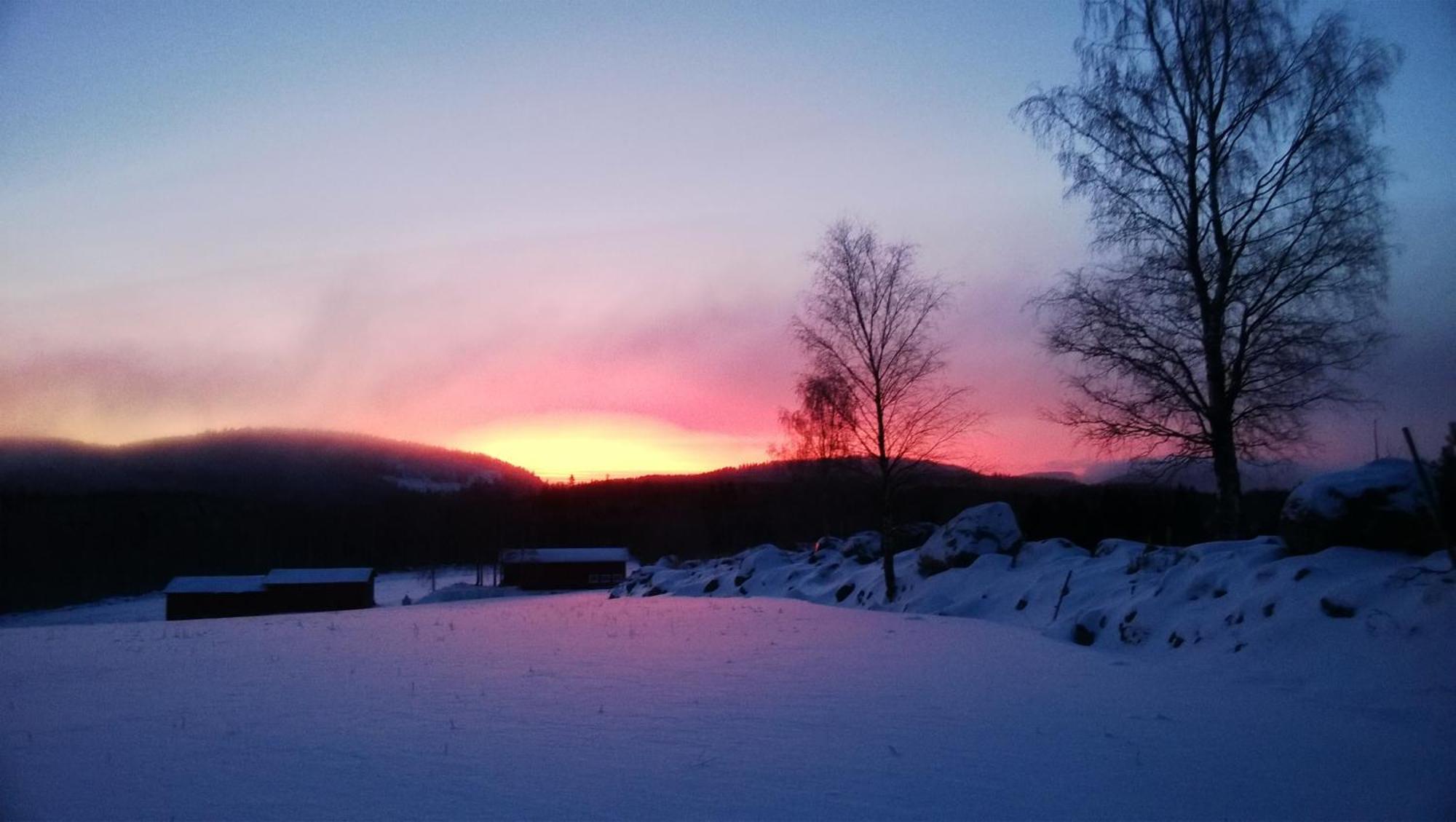 Maatilamatkailu Janisvaara Kolinkylä Kamer foto