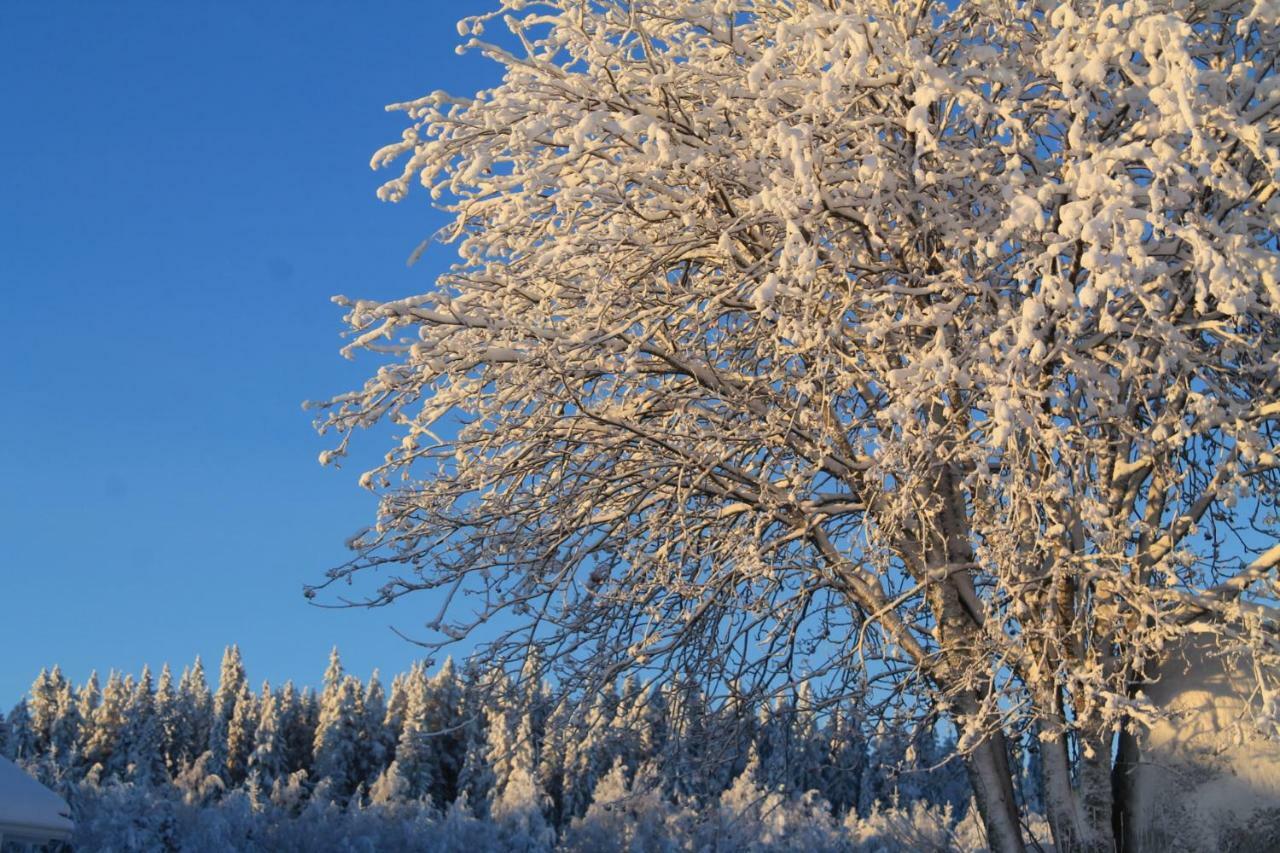 Maatilamatkailu Janisvaara Kolinkylä Buitenkant foto