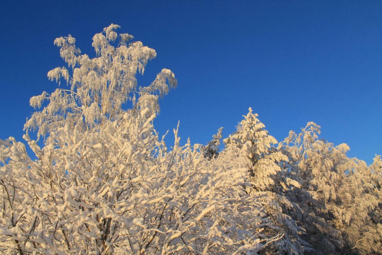 Maatilamatkailu Janisvaara Kolinkylä Buitenkant foto