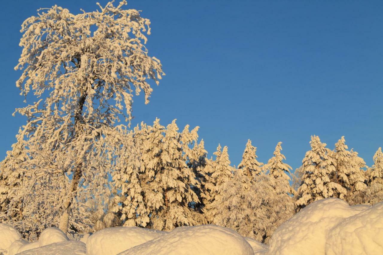 Maatilamatkailu Janisvaara Kolinkylä Buitenkant foto