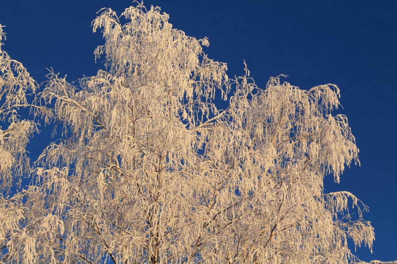 Maatilamatkailu Janisvaara Kolinkylä Buitenkant foto